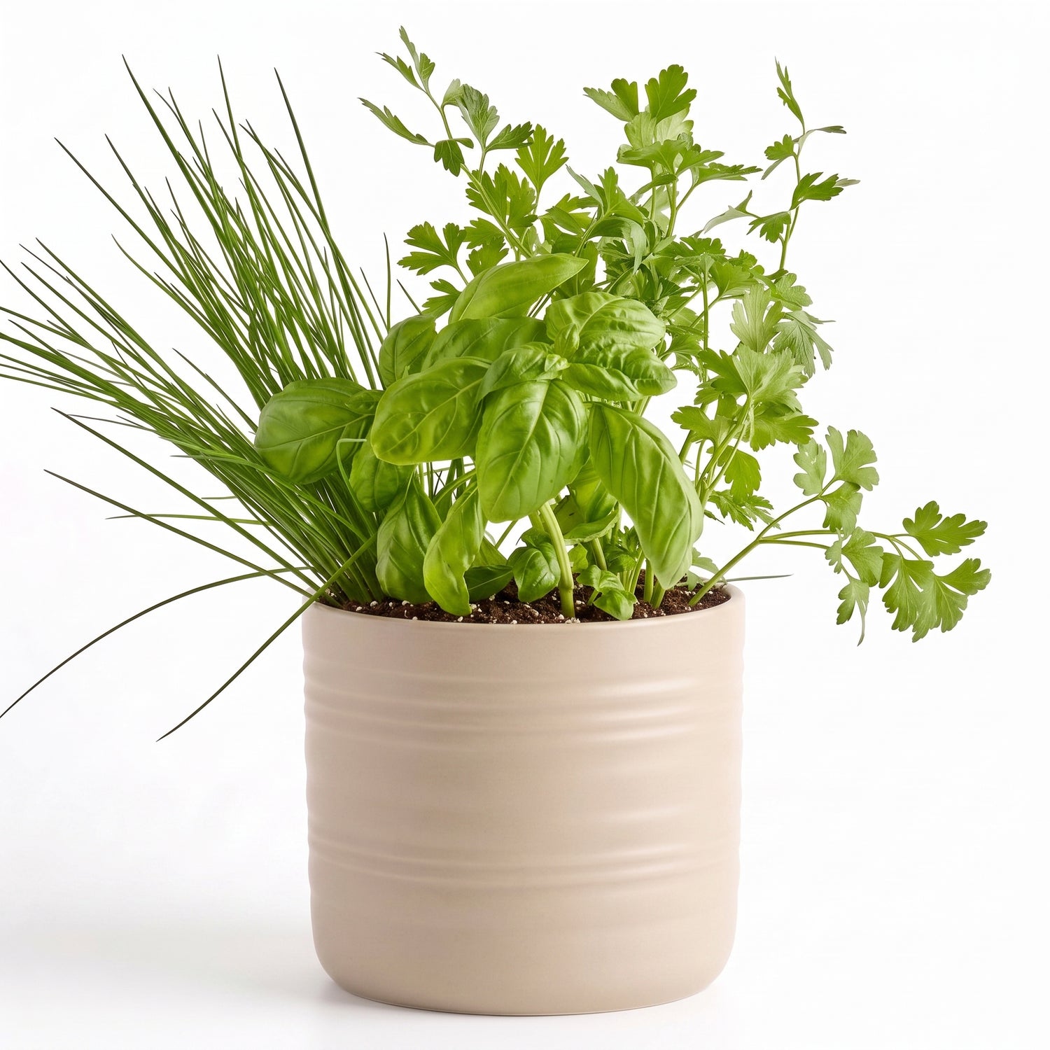 Kitchen Classics Herb Garden