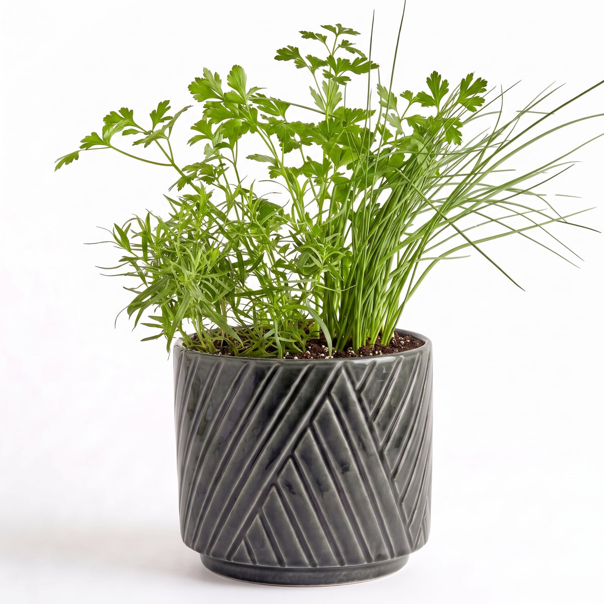 Fine French Herb Garden