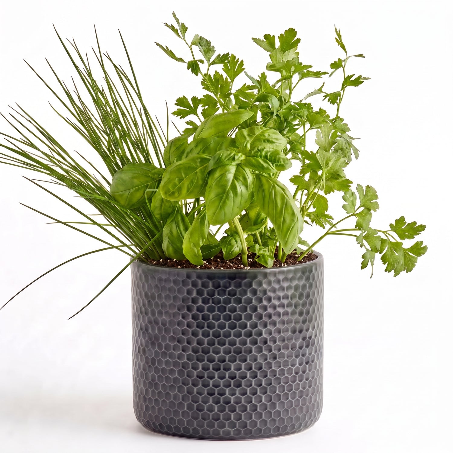 Kitchen Classics Herb Garden