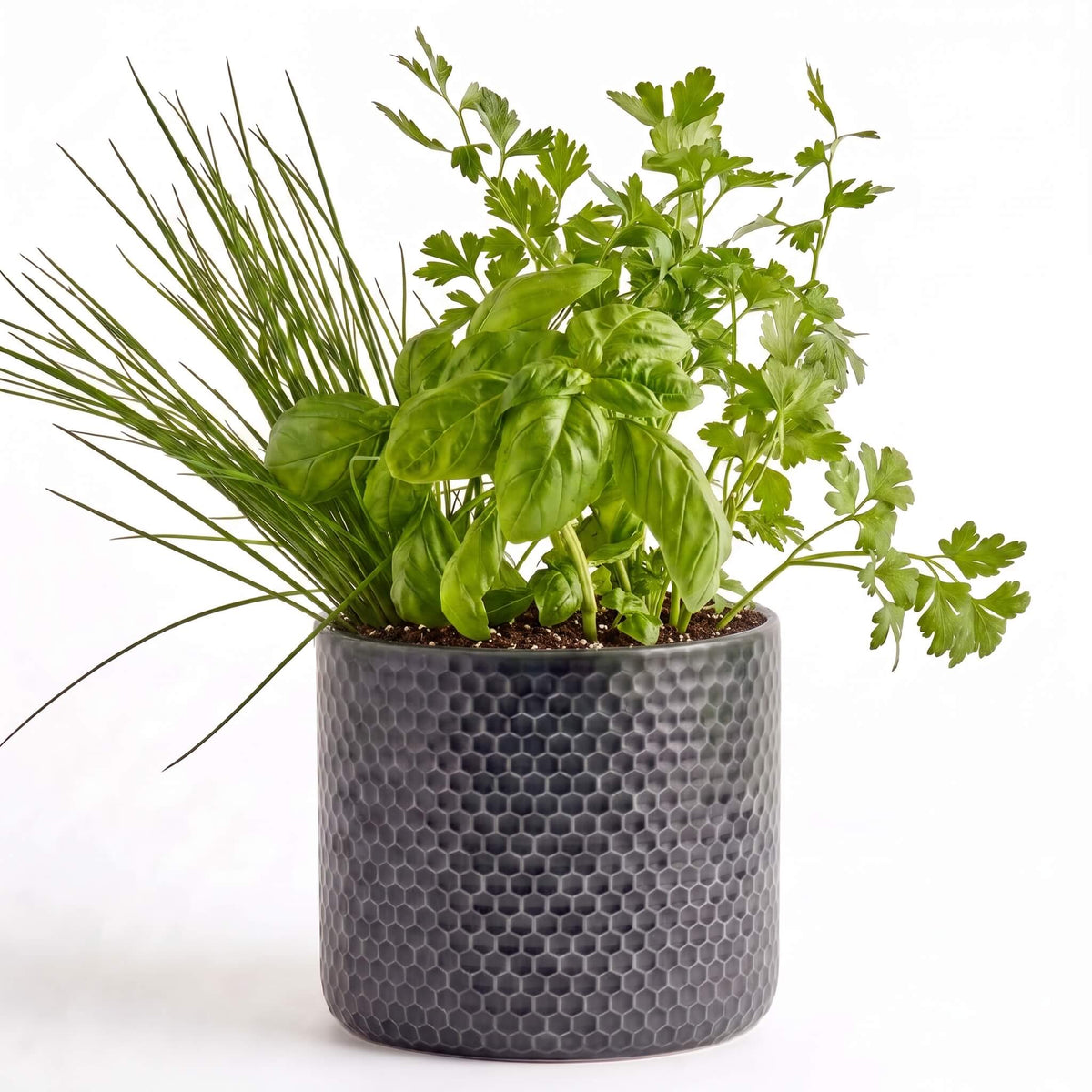 Kitchen Classics Herb Garden