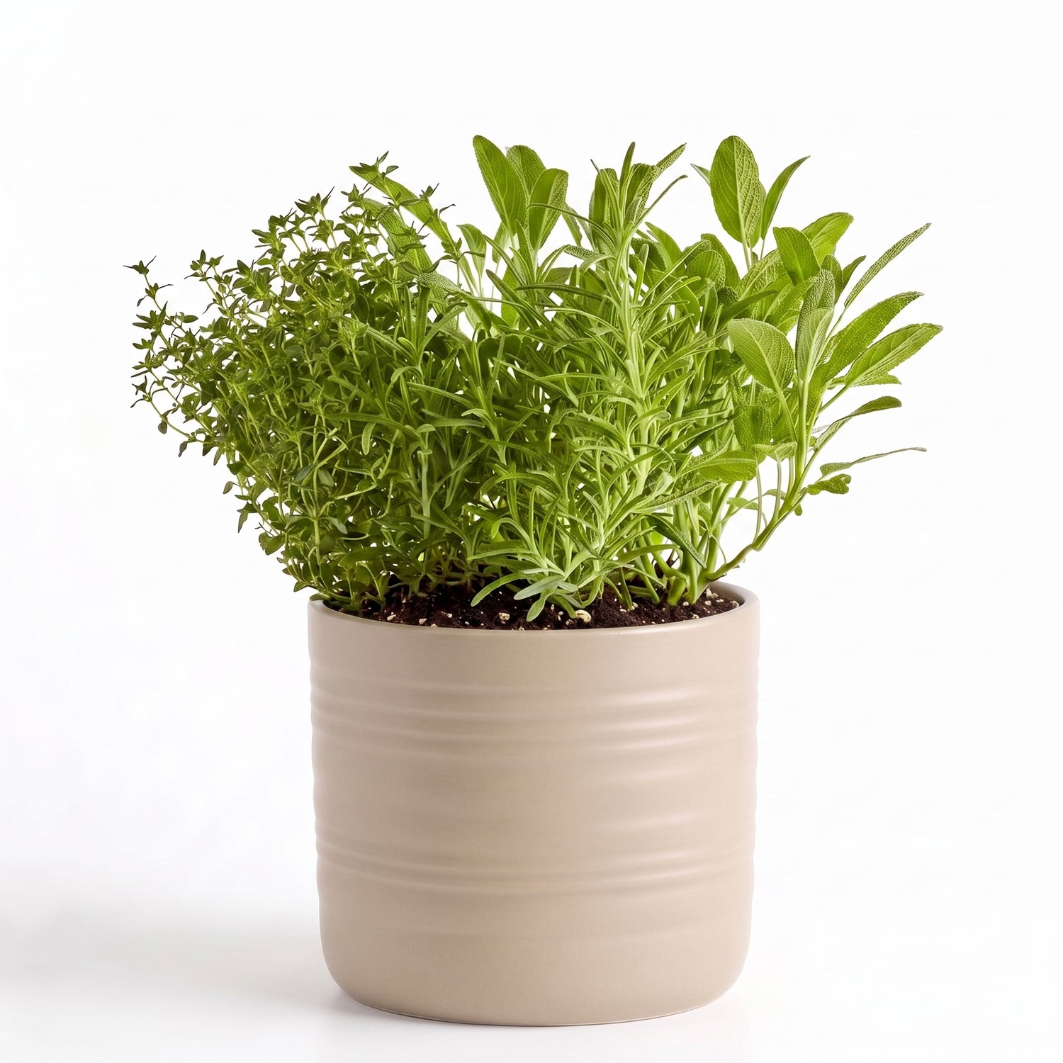 Savoury Roast Herb Garden