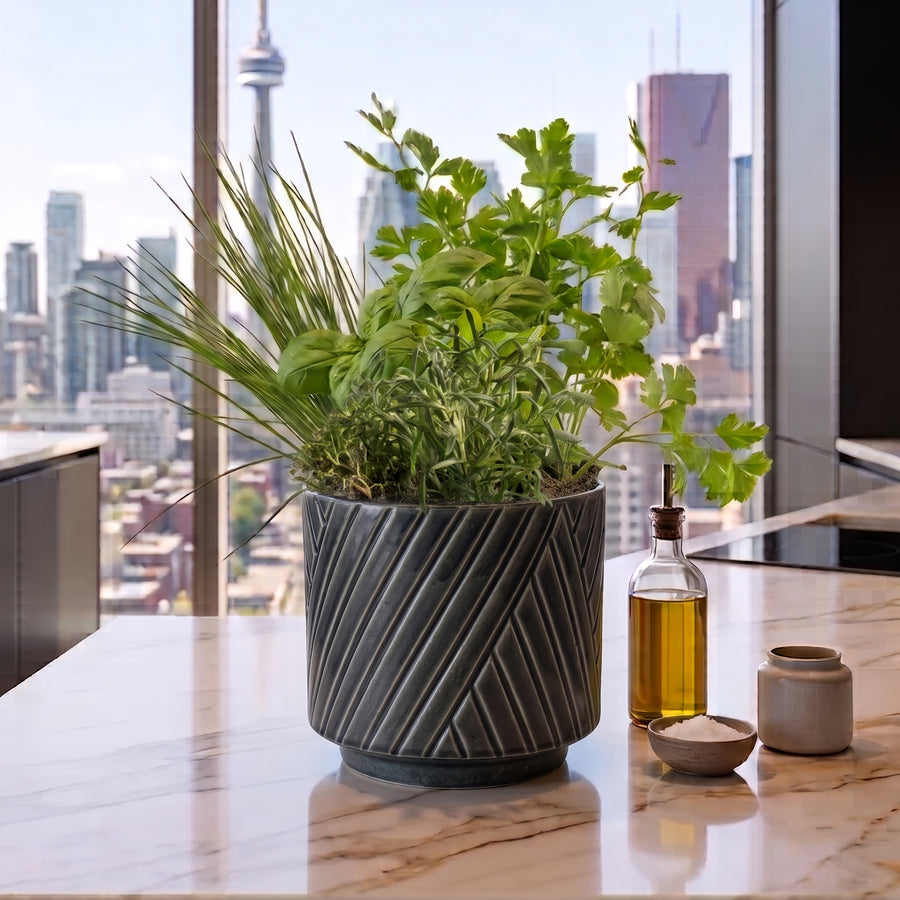 Kitchen Classic Herbs