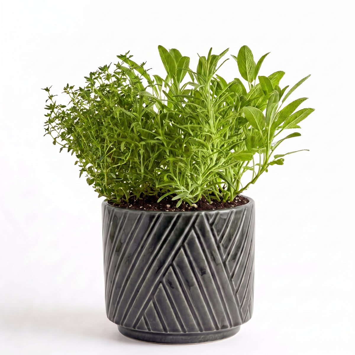 Savoury Roast Herb Garden