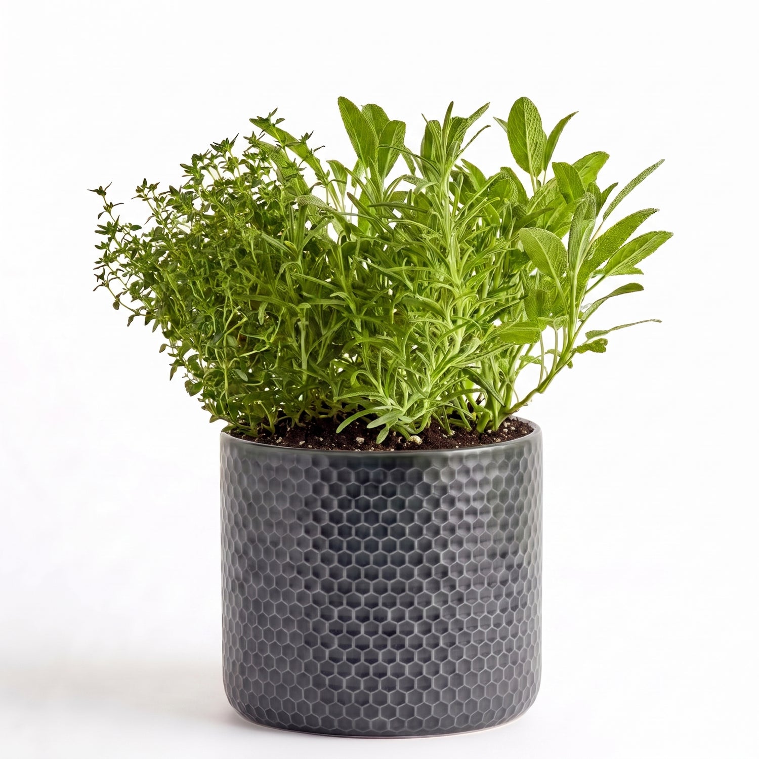 Savoury Roast Herb Garden