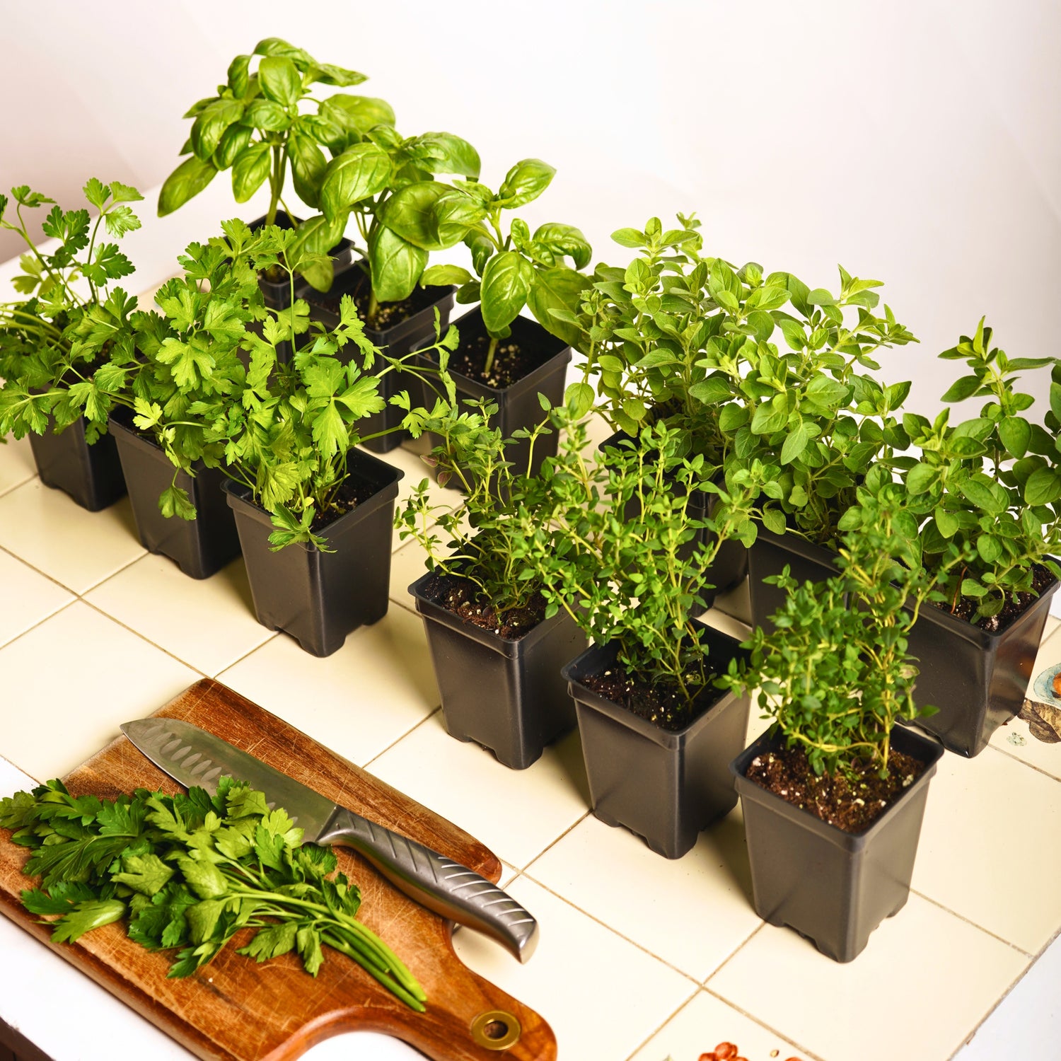Kitchen Essentials Herb Garden Kit