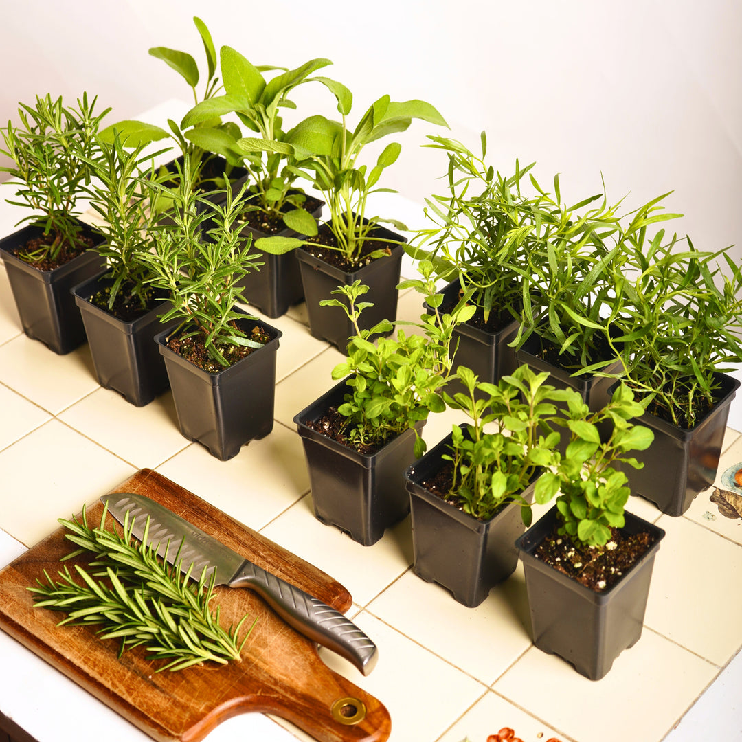 Plants Only