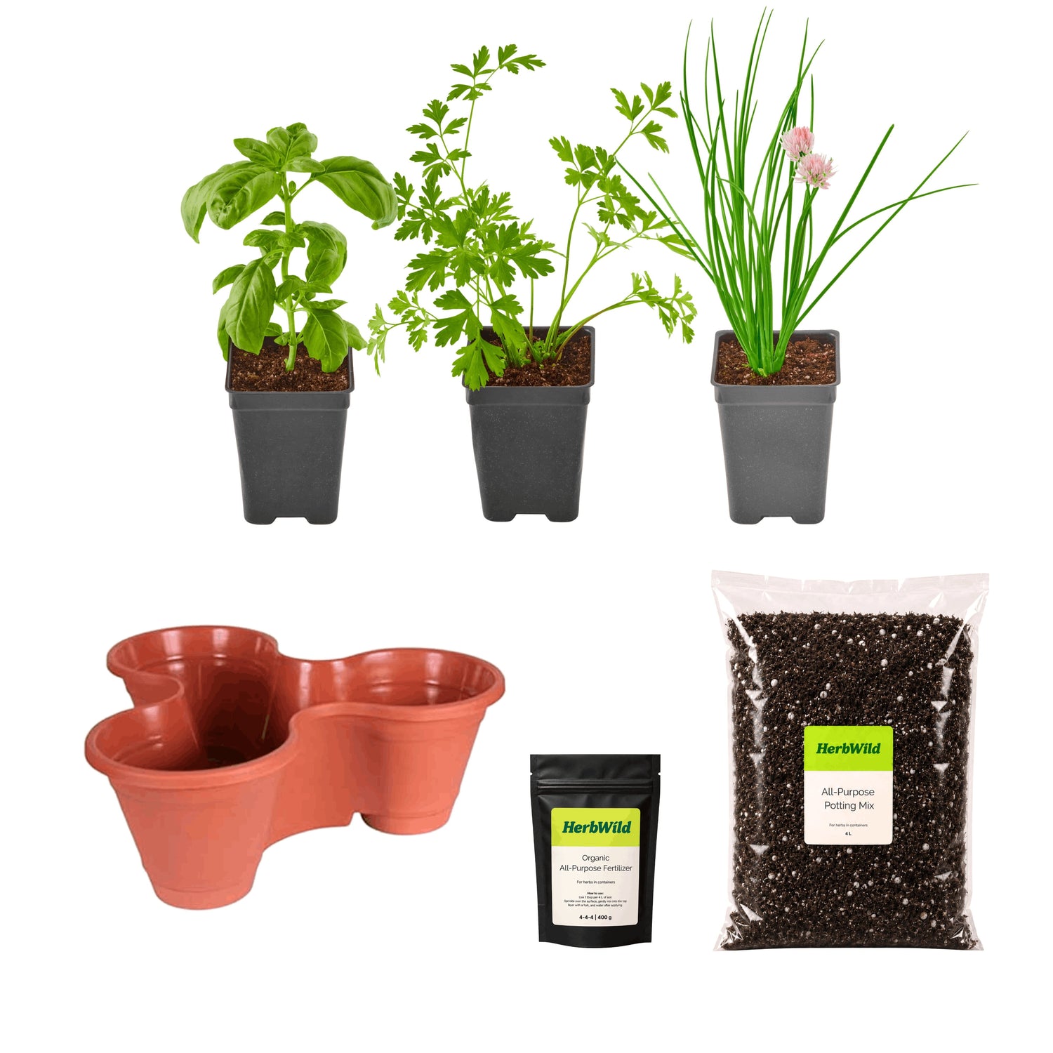 Beginner's Kitchen Herb Garden Kit