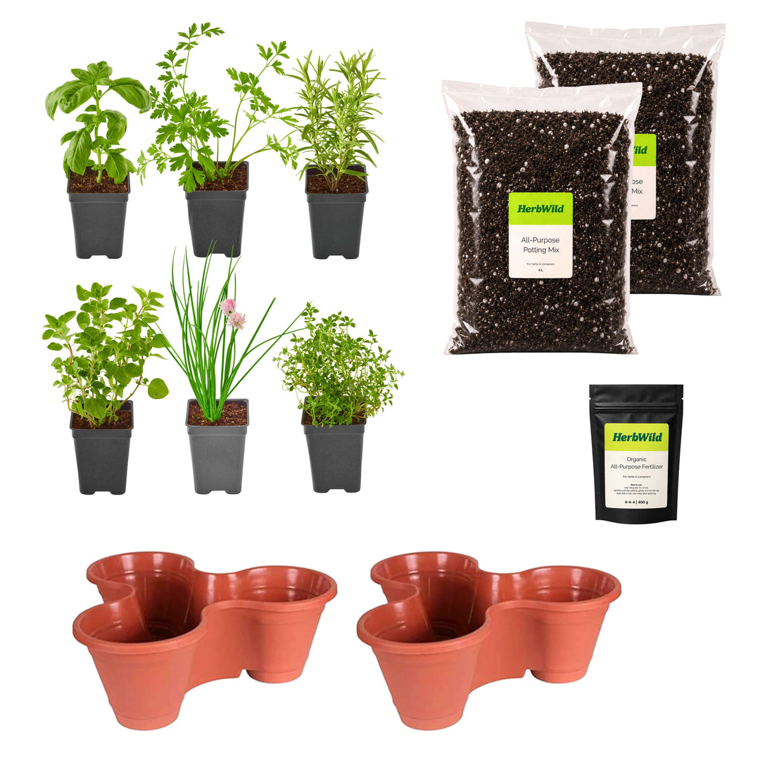 Beginner's Kitchen Herb Garden