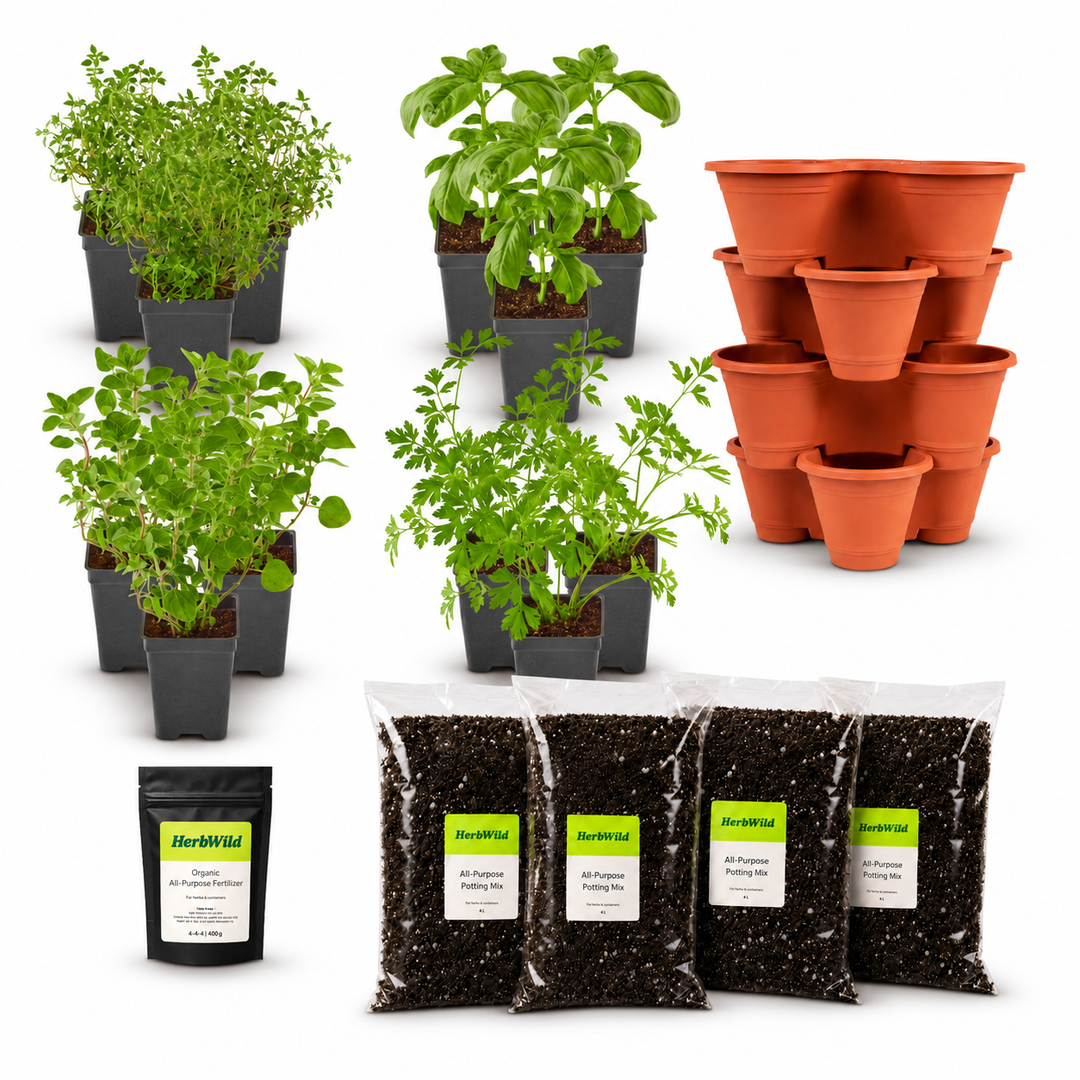 Kitchen Essentials Herb Garden Kit