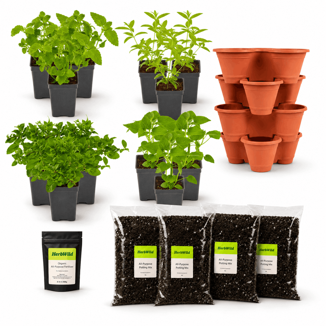 Tea Maker's Herb Garden Kit